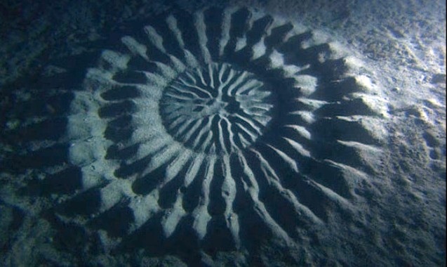 underwater circle