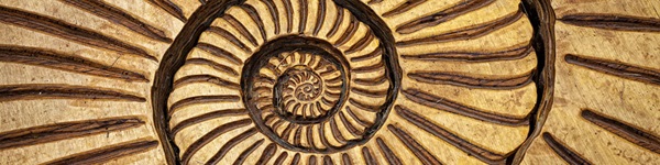 Spiral